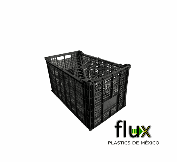 Caja F20 CUAUHTÉMOC