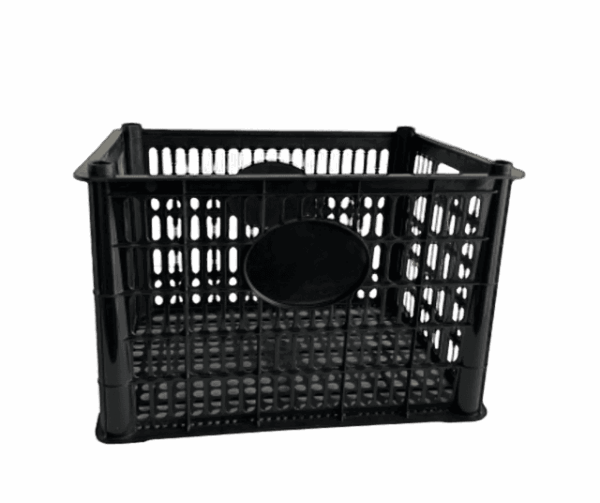 Caja F10 CHIHUAHUA