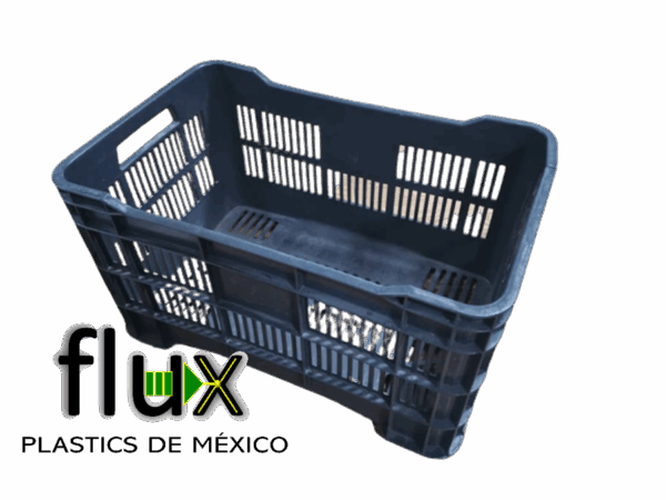 Caja Plástica F-25 Camargo rígida